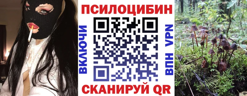 Псилоцибиновые грибы GOLDEN TEACHER  где купить наркоту  Яранск 